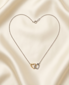 Collier Elegantes Doppelherz 925 Silber