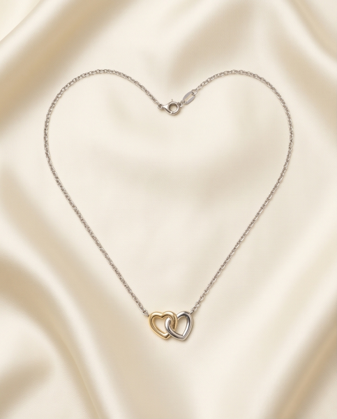 Collier Elegantes Doppelherz 925 Silber