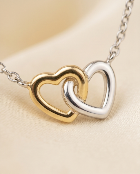 Collier Elegantes Doppelherz 925 Silber